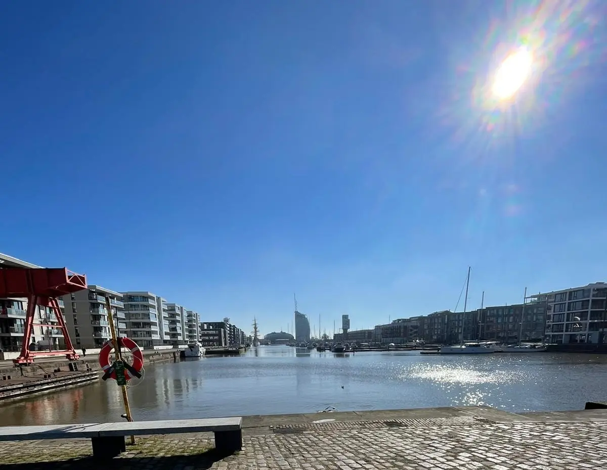 kontakt bauer immobilien bremerhaven